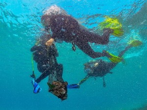 Čišćenje podmorja (foto Karlo Maćaš)