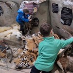 Zagrebački ZOO u subotu provodi edukaciju za djecu