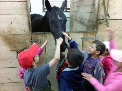 Terapija pomoću konja priznata je i dokazana metoda pomaganja djeci s teškoćama u razvoju.