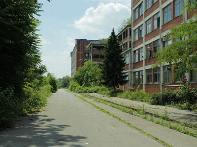 Borovo, Foto: Katerina Duda