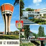 BOJAN GLAVAŠEVIĆ Sjećanje na Vukovar – Ne želim pamtiti samo krv