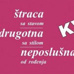 Ženska soba organizira okrugli stol „Glas za žrtve seksualnog nasilja“, 25.11.2016.