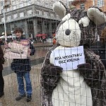 Prijatelji životinja zahvaljuju svima koji su pomogli u ostvarenju velike pobjede za životinje