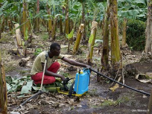 Špricanje pesticidima na plantaži u Kamerunu, Foto: Jan Nimmo