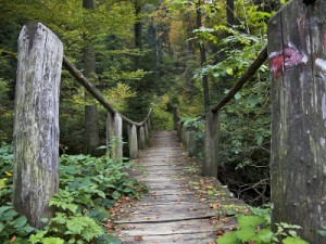 Foto: Park prirode Medvednica