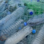 Plastične boce postaju golemi ekološki problem
