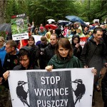 Beloveška šuma: ECJ prijeti Varšavi teškom globom zbog ilegalne sječe šume u zaštićenom području