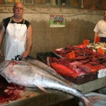 WWF protiv neprihvatljivog povećanja kvota za ulov tuna