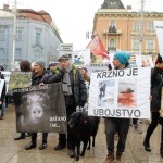 Prijatelji životinja: Oplemenite 2018. boljim postupanjem prema životinjama