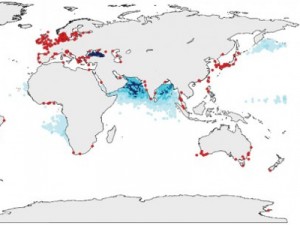 Mapa oceana bez kisika, izvor: Science 
