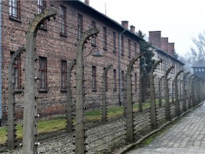 auschwitz