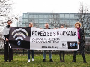 Ujedinjeni narodi ovlastili udrugu WWF da do 2020. godine upozorava na važnost očuvanja biološke raznolikosti