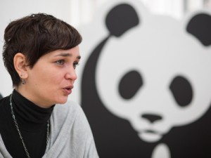 Na slici Irma Popović Dujmović iz WWF Adrie. foto HINA/ Ante Gudelj