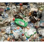 Veleposlanici u Murteru u eko-akciji čišćenja mora