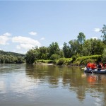 WWF: Posljednja etapa kampanje “Naše rijeke, naše blago!” 7. i 8. srpnja na Dravi