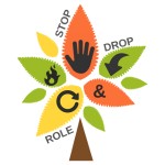 Razmjena mladih “Stop, drop and role!”