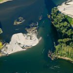 WWF: Sačuvajmo Europsku Amazonu za buduće generacije