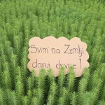 Kreće zadnja faza kampanje ‘Svim na Zemlji, daruj drvce’