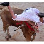 PETA nudi novac u zamjenu za trajnu zabranu utrke s bikovima