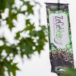 Otkazan ZeGeVege festival, organizatori najavljuju iznenađenje