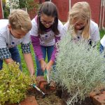 Održane volonterske akcije u sklopu projekta EdUTOPIJA 21 – stvaramo održivu budućnost