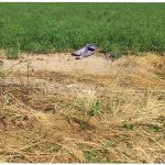 VID Foundation stipendije za fotografe u usponu