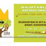 Bira se Europsko stablo godine – podržite 'Najstariju Medulinku'!
