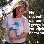 Krenula kampanja udruge Biom: Spasimo ugrožene morske ptice na Jadranu