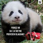 WWF: Simbolično posvoji životinju, daruj je sebi ili dragoj osobi