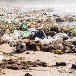 WWF poziva zemlje da se nastave zalagati za ambiciozan sporazum o plastici