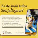 Hrvatska udruga za školovanje pasa vodiča i mobilitet poziva socijalizatore štenadi