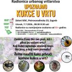 Besplatna edukacija za starije sugrađane: Otkrijte zanimljivi svijet korisnih kukaca u urbanom vrtu